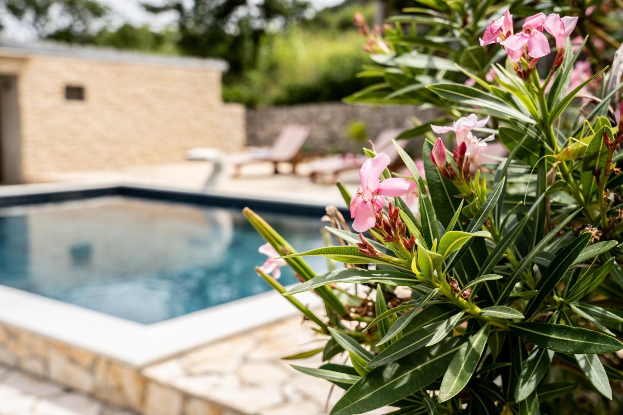 Villa Pag Dubrava Relax With Pool Bosana Luaran gambar